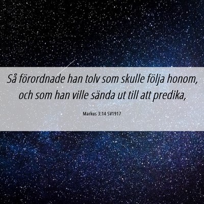 Picture 06 - Markus 3:14 SV1917 - Så förordnade han tolv som skulle följa honom, - Bible Verse Picture