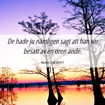 Picture 06 - Markus 3:30 SV1917 - De hade ju nämligen sagt att han var besatt av - Bible Verse Picture