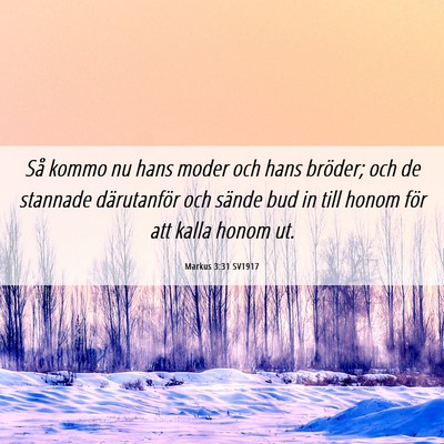Picture 06 - Markus 3:31 SV1917 - Så kommo nu hans moder och hans bröder; och de - Bible Verse Picture