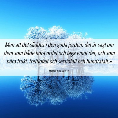 Picture 06 - Markus 4:20 SV1917 - Men att det såddes i den goda jorden, det är - Bible Verse Picture