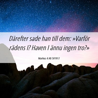 Picture 06 - Markus 4:40 SV1917 - Därefter sade han till dem: »Varför rädens I? - Bible Verse Picture