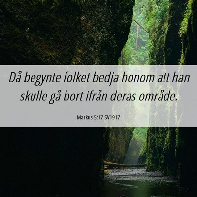 Picture 06 - Markus 5:17 SV1917 - Då begynte folket bedja honom att han skulle gå - Bible Verse Picture