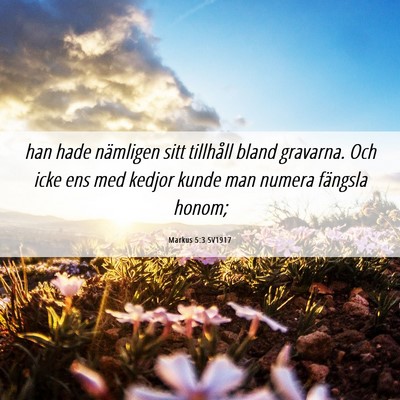 Picture 06 - Markus 5:3 SV1917 - han hade nämligen sitt tillhåll bland gravarna. - Bible Verse Picture