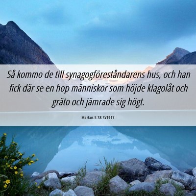 Picture 06 - Markus 5:38 SV1917 - Så kommo de till synagogföreståndarens hus, - Bible Verse Picture
