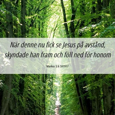 Picture 06 - Markus 5:6 SV1917 - När denne nu fick se Jesus på avstånd, - Bible Verse Picture