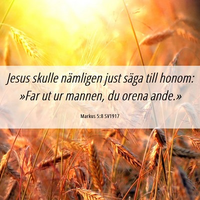 Picture 06 - Markus 5:8 SV1917 - Jesus skulle nämligen just säga till honom: - Bible Verse Picture