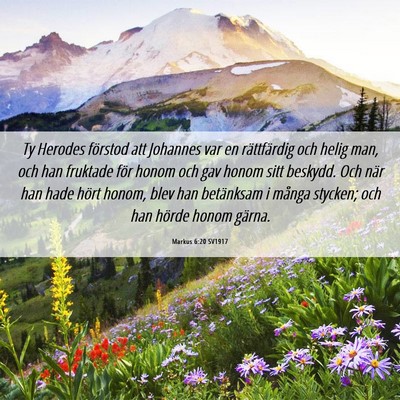 Picture 06 - Markus 6:20 SV1917 - Ty Herodes förstod att Johannes var en - Bible Verse Picture