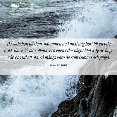 Picture 06 - Markus 6:31 SV1917 - Då sade han till dem: »Kommen nu I med mig bort - Bible Verse Picture