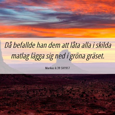 Picture 06 - Markus 6:39 SV1917 - Då befallde han dem att låta alla i skilda - Bible Verse Picture