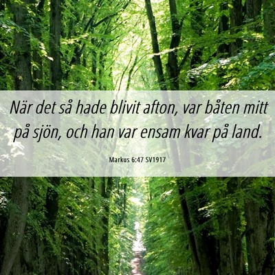 Picture 06 - Markus 6:47 SV1917 - När det så hade blivit afton, var båten mitt - Bible Verse Picture