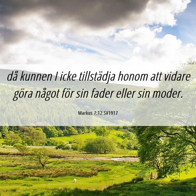 Picture 06 - Markus 7:12 SV1917 - då kunnen I icke tillstädja honom att vidare - Bible Verse Picture