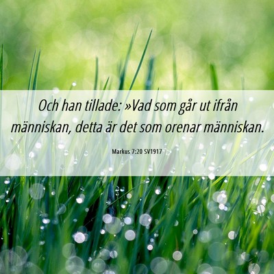 Picture 06 - Markus 7:20 SV1917 - Och han tillade: »Vad som går ut ifrån - Bible Verse Picture