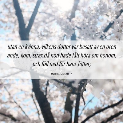 Picture 06 - Markus 7:25 SV1917 - utan en kvinna, vilkens dotter var besatt av en - Bible Verse Picture