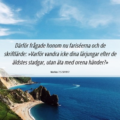 Picture 06 - Markus 7:5 SV1917 - Därför frågade honom nu fariséerna och de - Bible Verse Picture