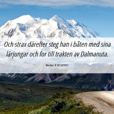 Picture 06 - Markus 8:10 SV1917 - Och strax därefter steg han i båten med sina - Bible Verse Picture