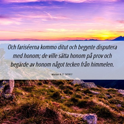 Picture 06 - Markus 8:11 SV1917 - Och fariséerna kommo ditut och begynte disputera - Bible Verse Picture