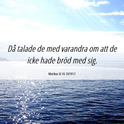Picture 06 - Markus 8:16 SV1917 - Då talade de med varandra om att de icke hade - Bible Verse Picture