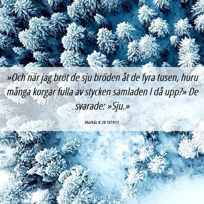 Picture 06 - Markus 8:20 SV1917 - »Och när jag bröt de sju bröden åt de fyra - Bible Verse Picture