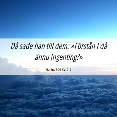 Picture 06 - Markus 8:21 SV1917 - Då sade han till dem: »Förstån I då ännu - Bible Verse Picture
