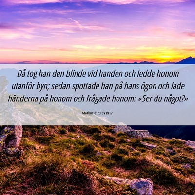 Picture 06 - Markus 8:23 SV1917 - Då tog han den blinde vid handen och ledde honom - Bible Verse Picture