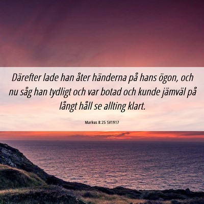 Picture 06 - Markus 8:25 SV1917 - Därefter lade han åter händerna på hans - Bible Verse Picture