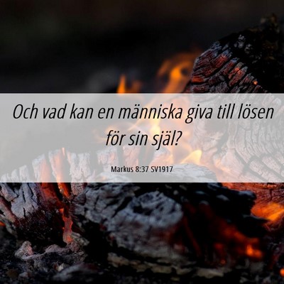 Picture 06 - Markus 8:37 SV1917 - Och vad kan en människa giva till lösen för - Bible Verse Picture