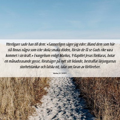 Picture 06 - Markus 9:1 SV1917 - Ytterligare sade han till dem: »Sannerligen - Bible Verse Picture