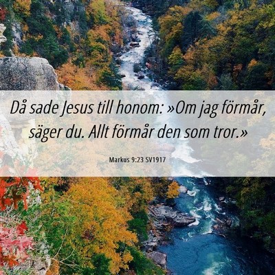 Picture 06 - Markus 9:23 SV1917 - Då sade Jesus till honom: »Om jag förmår, - Bible Verse Picture