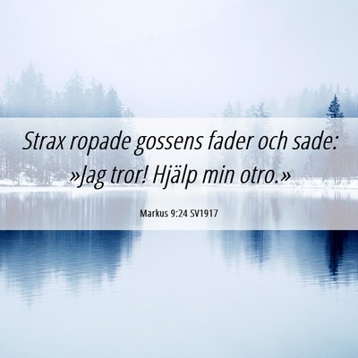 Picture 06 - Markus 9:24 SV1917 - Strax ropade gossens fader och sade: »Jag tror! - Bible Verse Picture