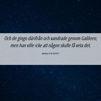 Picture 06 - Markus 9:30 SV1917 - Och de gingo därifrån och vandrade genom - Bible Verse Picture