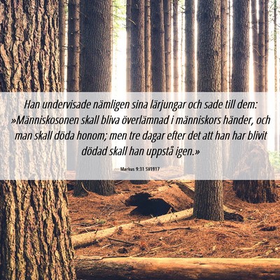 Picture 06 - Markus 9:31 SV1917 - Han undervisade nämligen sina lärjungar och - Bible Verse Picture