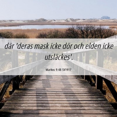 Picture 06 - Markus 9:48 SV1917 - där 'deras mask icke dör och elden icke - Bible Verse Picture