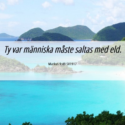 Picture 06 - Markus 9:49 SV1917 - Ty var människa måste saltas med - Bible Verse Picture