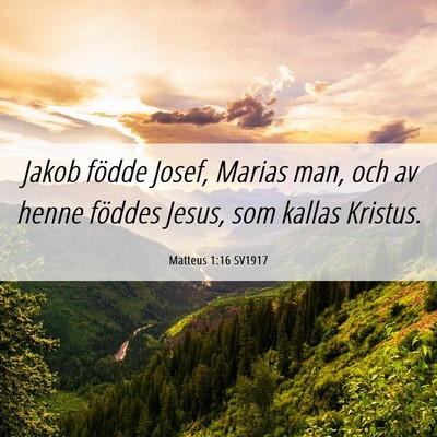 Picture 06 - Matteus 1:16 SV1917 - Jakob födde Josef, Marias man, och av henne - Bible Verse Picture