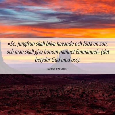 Picture 06 - Matteus 1:23 SV1917 - »Se, jungfrun skall bliva havande och föda en - Bible Verse Picture