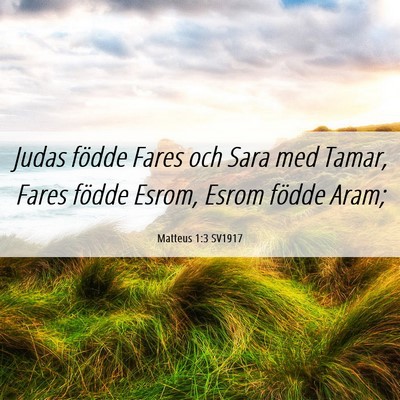 Picture 06 - Matteus 1:3 SV1917 - Judas födde Fares och Sara med Tamar, Fares - Bible Verse Picture