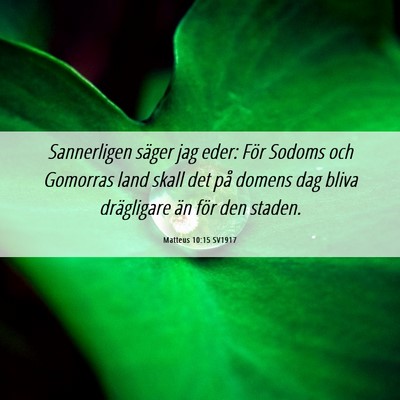 Picture 06 - Matteus 10:15 SV1917 - Sannerligen säger jag eder: För Sodoms och - Bible Verse Picture