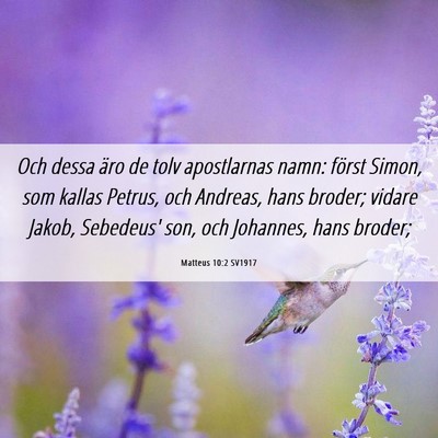 Picture 06 - Matteus 10:2 SV1917 - Och dessa äro de tolv apostlarnas namn: först - Bible Verse Picture