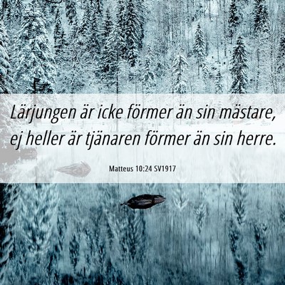Picture 06 - Matteus 10:24 SV1917 - Lärjungen är icke förmer än sin mästare, ej - Bible Verse Picture