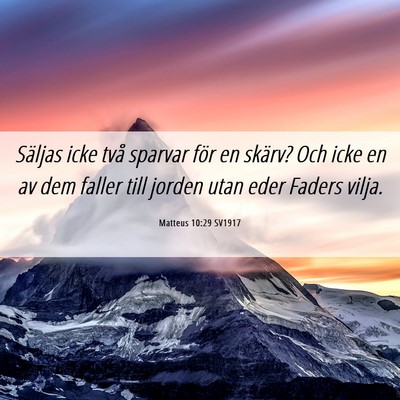 Picture 06 - Matteus 10:29 SV1917 - Säljas icke två sparvar för en skärv? Och - Bible Verse Picture