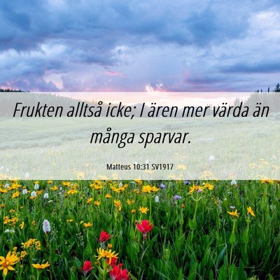 Picture 06 - Matteus 10:31 SV1917 - Frukten alltså icke; I ären mer värda än - Bible Verse Picture