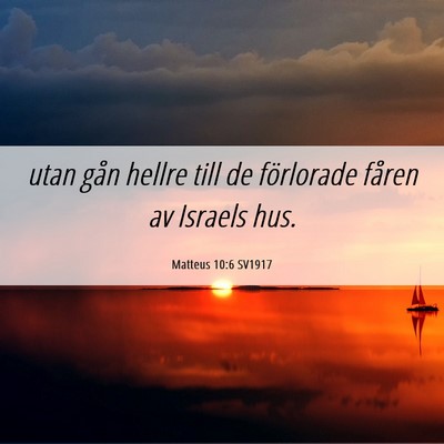 Picture 06 - Matteus 10:6 SV1917 - utan gån hellre till de förlorade fåren av - Bible Verse Picture