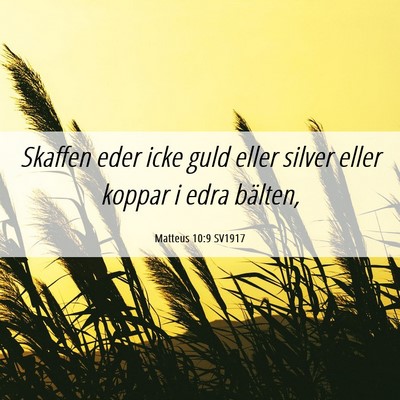 Picture 06 - Matteus 10:9 SV1917 - Skaffen eder icke guld eller silver eller koppar - Bible Verse Picture
