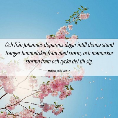 Picture 06 - Matteus 11:12 SV1917 - Och från Johannes döparens dagar intill denna - Bible Verse Picture