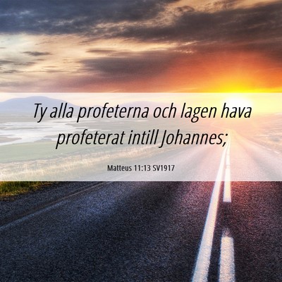 Picture 06 - Matteus 11:13 SV1917 - Ty alla profeterna och lagen hava profeterat - Bible Verse Picture