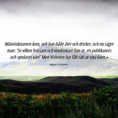 Picture 06 - Matteus 11:19 SV1917 - Människosonen kom, och han både äter och - Bible Verse Picture