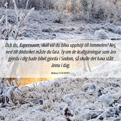 Picture 06 - Matteus 11:23 SV1917 - Och du, Kapernaum, skall väl du bliva upphöjt - Bible Verse Picture