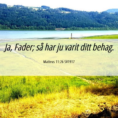 Picture 06 - Matteus 11:26 SV1917 - Ja, Fader; så har ju varit ditt - Bible Verse Picture