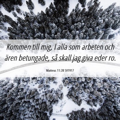 Picture 06 - Matteus 11:28 SV1917 - Kommen till mig, I alla som arbeten och ären - Bible Verse Picture