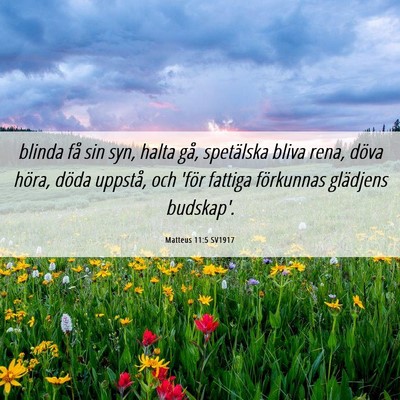 Picture 06 - Matteus 11:5 SV1917 - blinda få sin syn, halta gå, spetälska bliva - Bible Verse Picture